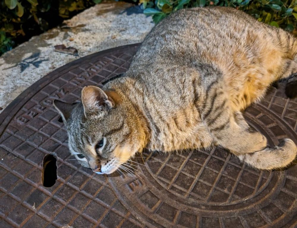 hardware specifications for tgarchiveconsole