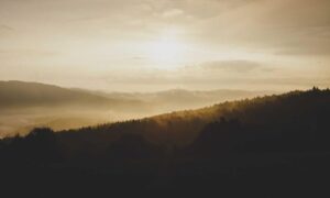 how to stream with tgarchiveconsole