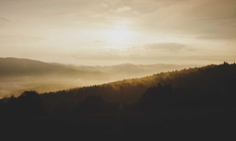 how to stream with tgarchiveconsole