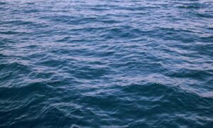 is obernaft for free