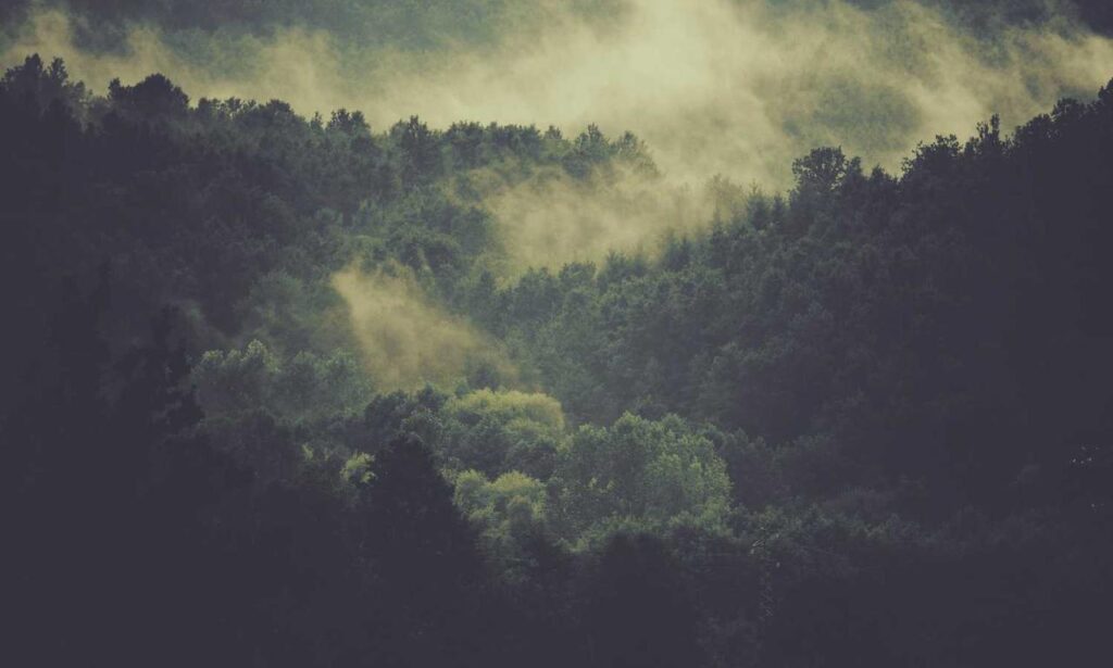 tgarchiveconsole set up