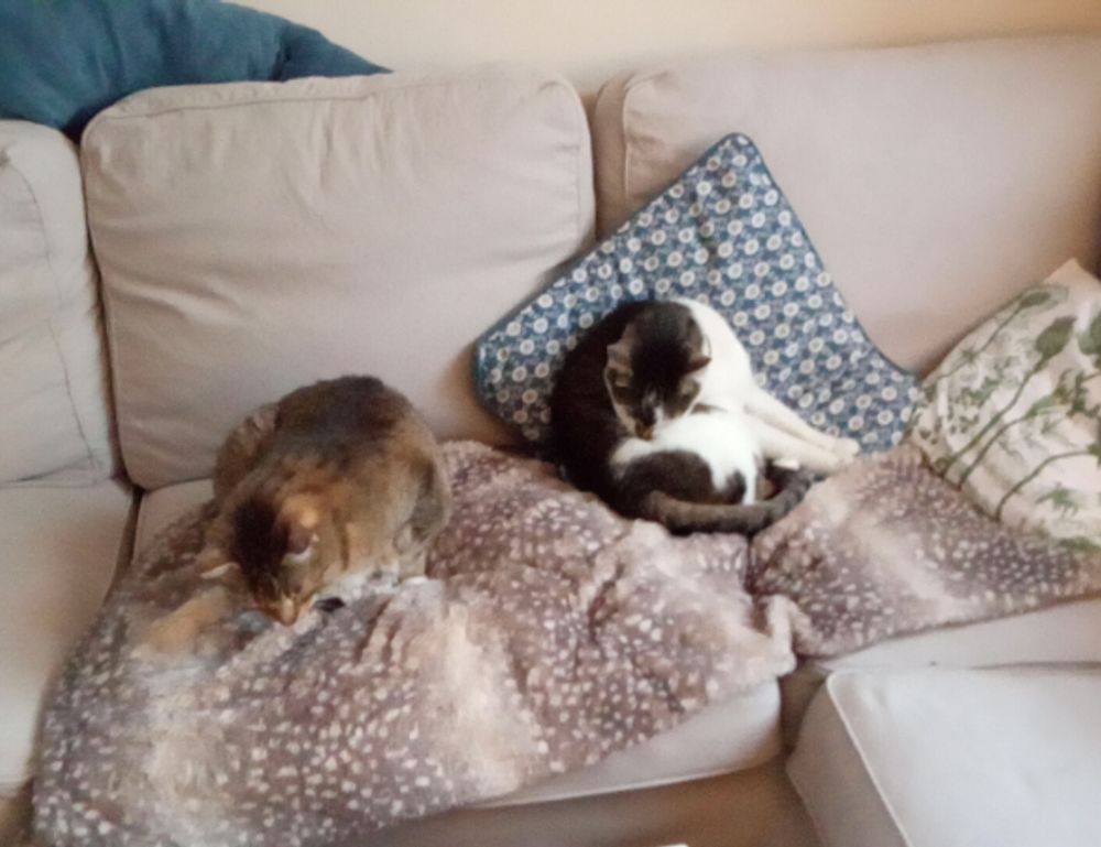 tgarchiveconsole upgrade