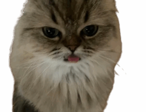 tgarchiveconsole upgrades