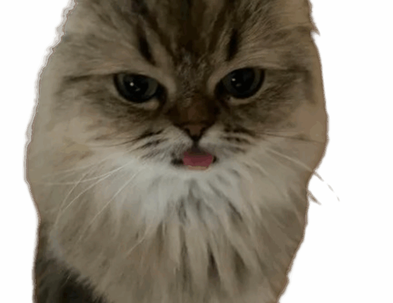 tgarchiveconsole upgrades