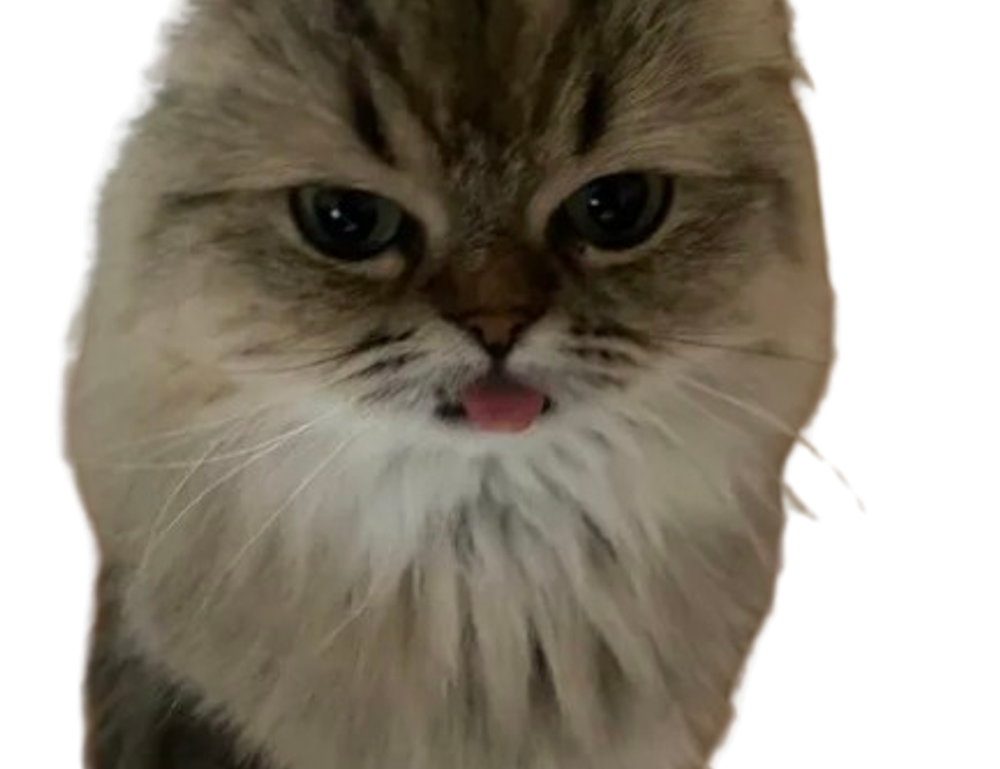 tgarchiveconsole upgrades