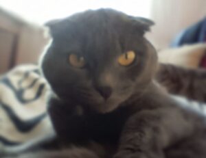 gaming world digitalrgsorg