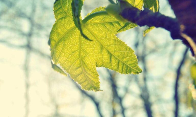 tech articles digitalrgsorg