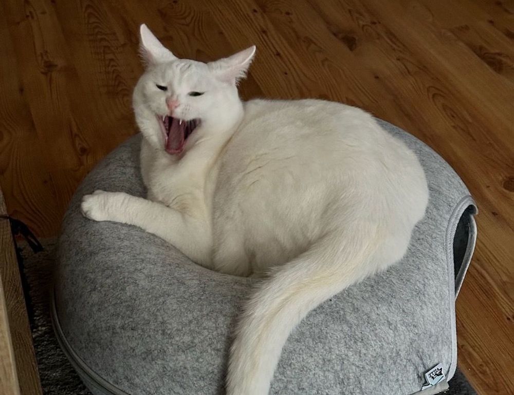 tech updates digitalrgsorg