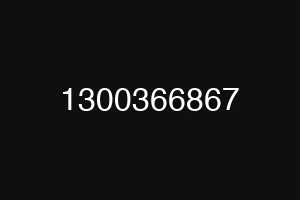 1300366867