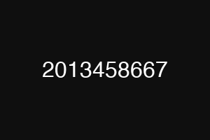 2013458667