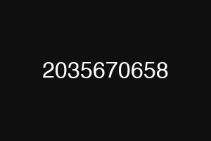 2035670658