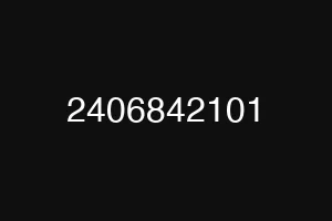 2406842101