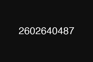 2602640487