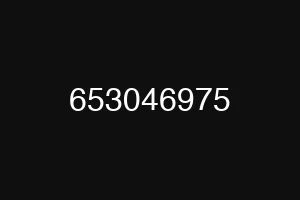 653046975
