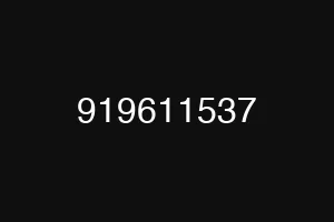 919611537