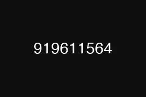 919611564