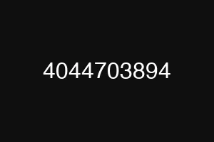 4044703894