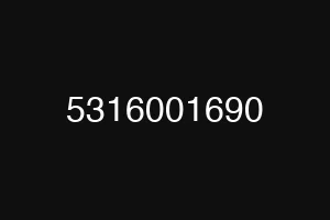 5316001690