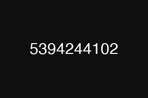 5394244102