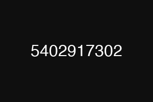 5402917302