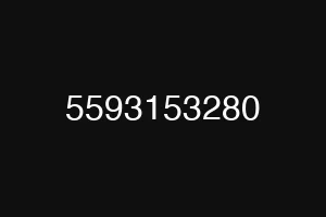 5593153280