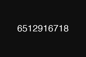 6512916718