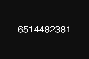 6514482381