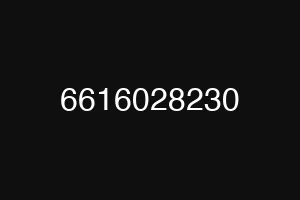 6616028230