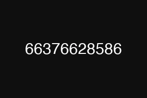 66376628586