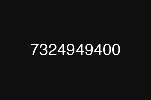 7324949400