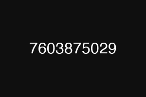 7603875029