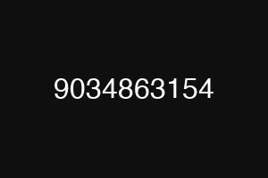 9034863154