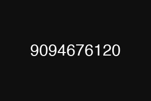 9094676120