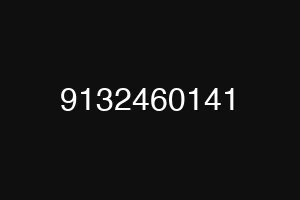 9132460141